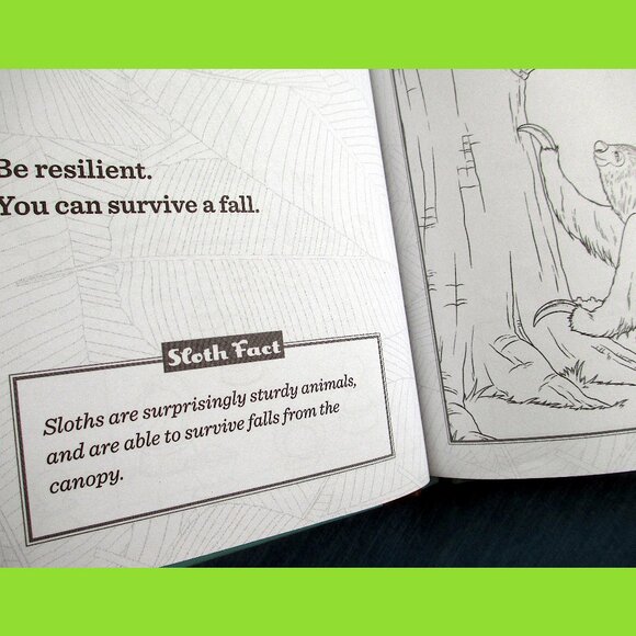 Book: Life Lessons from a Sloth, by Heneghan, Mills, & Sturgeon - Picture 7 of 13
